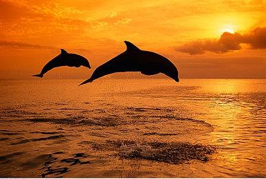 3DM速报：《英雄联盟》皮肤改名不许色色 《战神4》PC版配置公开